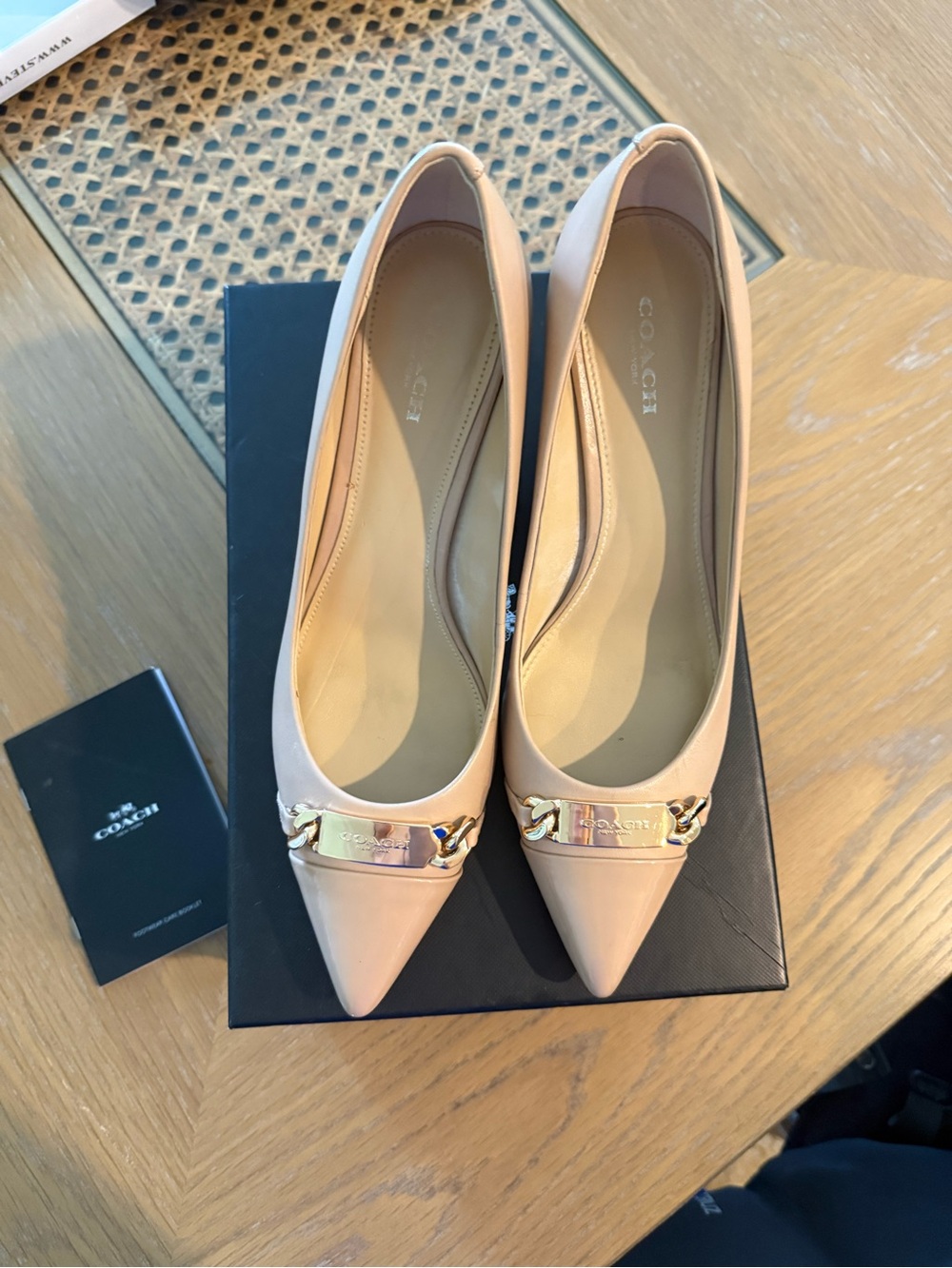 Coach Nude Pointed-Toe Low Heel with Gold Chain Plaque